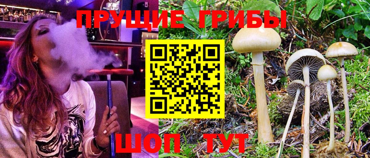 Галлюциногенные грибы мухоморы  Вход с VPN  Черняховск 