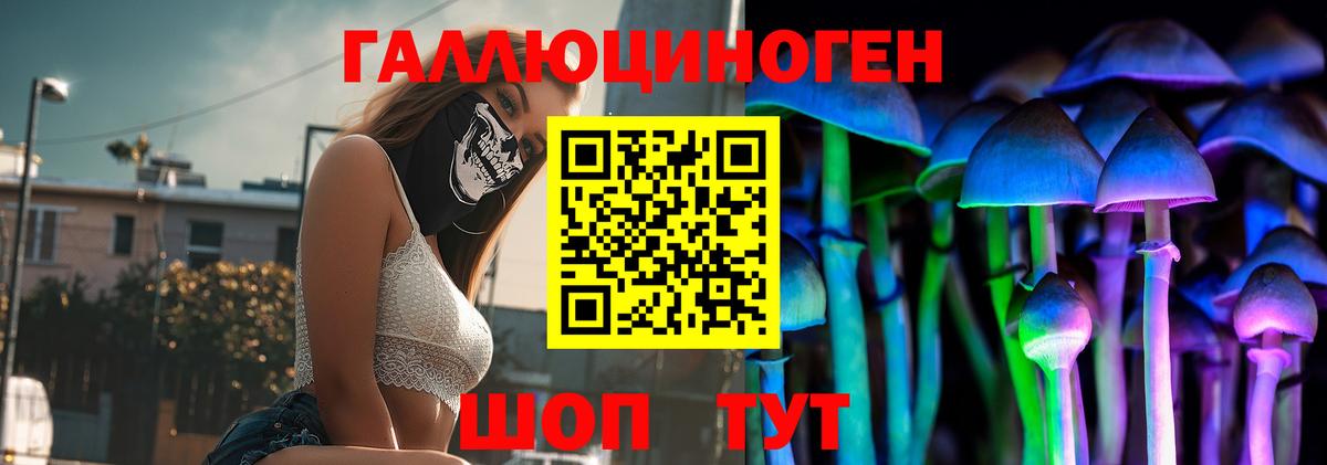 Псилоцибиновые грибы мухоморы Черняховск